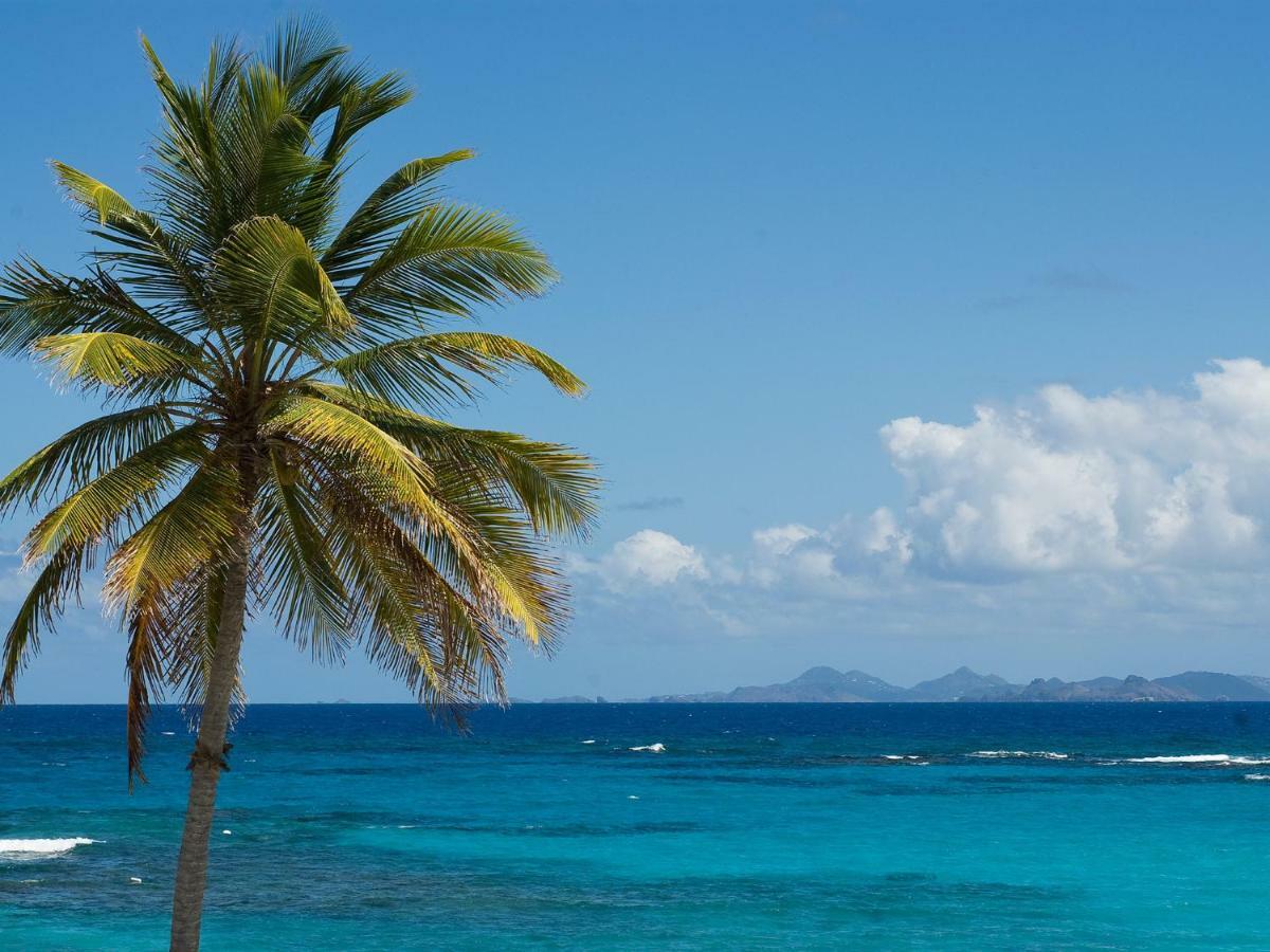 Coral Beach Club Villas & Marina Sint Maarten Екстериор снимка